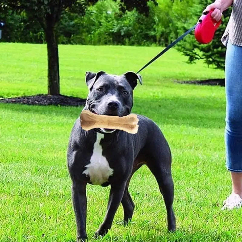 Small Dog Bone Toy Chewing Bone Not Easy To Break Beef Flavor Small Dog Bone Bite Resistant Chewing Toy For Home Outdoor