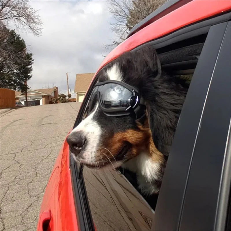 Dog Goggles for Small Breed Dog Sunglasses Dog UV Sunglasses Windproof Soft Frame Adjustable Straps for Small/Medium Dogs Puppy