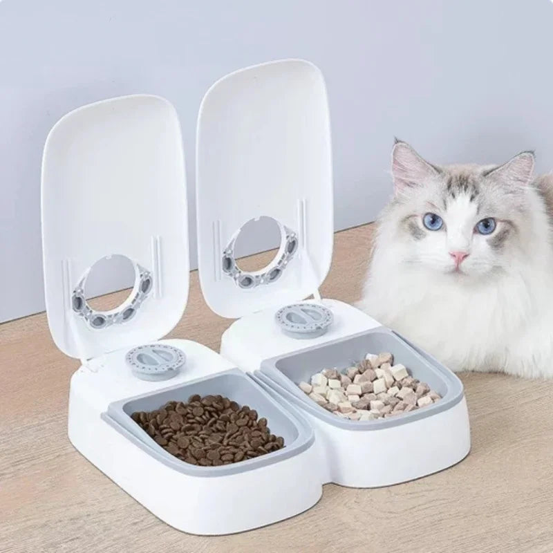 Dog Feeder Cat Automatic Feeding Water Bowl with Timer Pet Food Storage Dispenser Container Pets Puppy Kitten Accessories