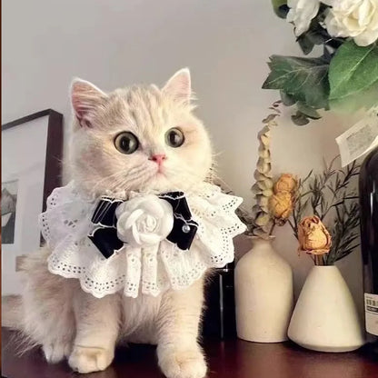 Elegant Pearl Cat Dog Collar Jewelled with Silk Ribbon Scarf Pendant Pet Bowtie Necklace for Puppy Kitten Bow Accessories Bowtie
