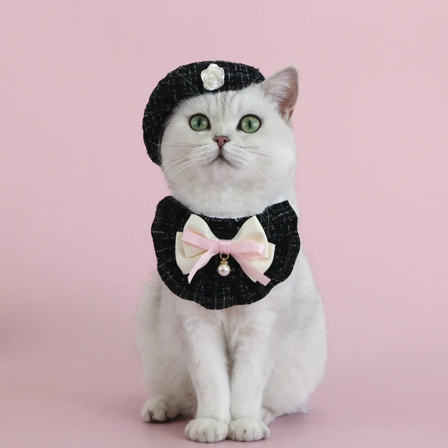 1pc Elegant Pet Princess Outfit Set - Chic Beret, Pearl Bow & Floral Bib for Cats and Small Dogs
