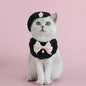 1pc Elegant Pet Princess Outfit Set - Chic Beret, Pearl Bow & Floral Bib for Cats and Small Dogs