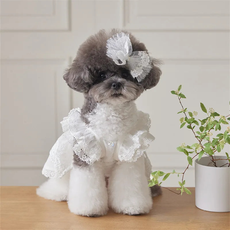 Pet Lace Flying Sleeve Dress Cat Top Spring and Summer Lace Princess Dress Small Dog Dog Dresses for Small Dogs Puppy Clothes