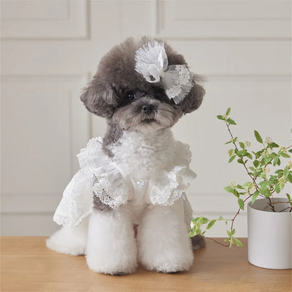 Pet Lace Flying Sleeve Dress Cat Top Spring and Summer Lace Princess Dress Small Dog Dog Dresses for Small Dogs Puppy Clothes
