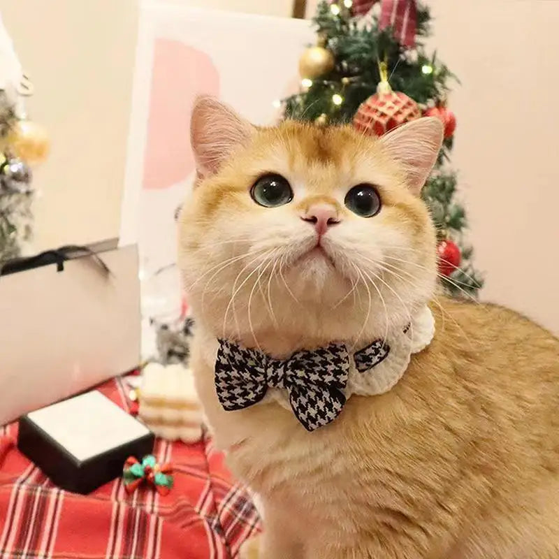 Elegant Pearl Cat Dog Collar Jewelled with Silk Ribbon Scarf Pendant Pet Bowtie Necklace for Puppy Kitten Bow Accessories Bowtie