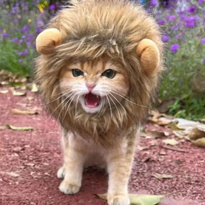 New Cute Funny Pets  Cute Wig Lion Mane Costume Cosplay Kitten Dog