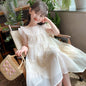Children's Dress Summer 2024 New Girls Embroidery Princess Dress Clothing Sleeveless Baby Kids Simple Fashion Style Fairy Dress