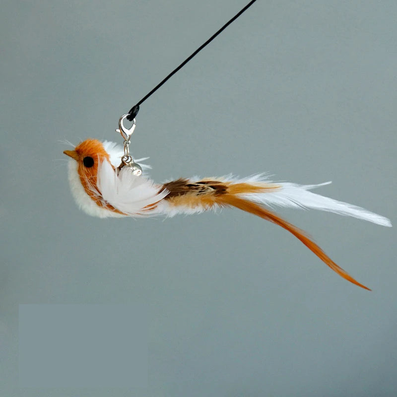 Funny Bird Feather Cat Wand With Bell Accessories Interactive Toys For Cats Kitten Hunting Teaser Exercise Pet Products