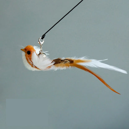 Funny Bird Feather Cat Wand With Bell Accessories Interactive Toys For Cats Kitten Hunting Teaser Exercise Pet Products