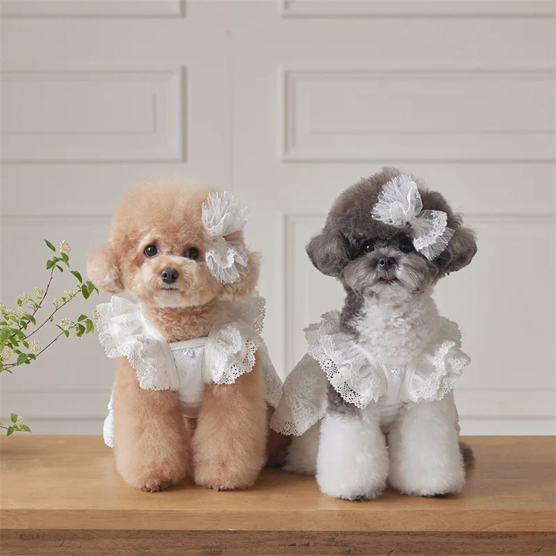 Pet Lace Flying Sleeve Dress Cat Top Spring and Summer Lace Princess Dress Small Dog Dog Dresses for Small Dogs Puppy Clothes