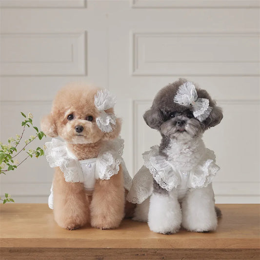 Pet Lace Flying Sleeve Dress Cat Top Spring and Summer Lace Princess Dress Small Dog Dog Dresses for Small Dogs Puppy Clothes
