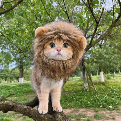 New Cute Funny Pets  Cute Wig Lion Mane Costume Cosplay Kitten Dog