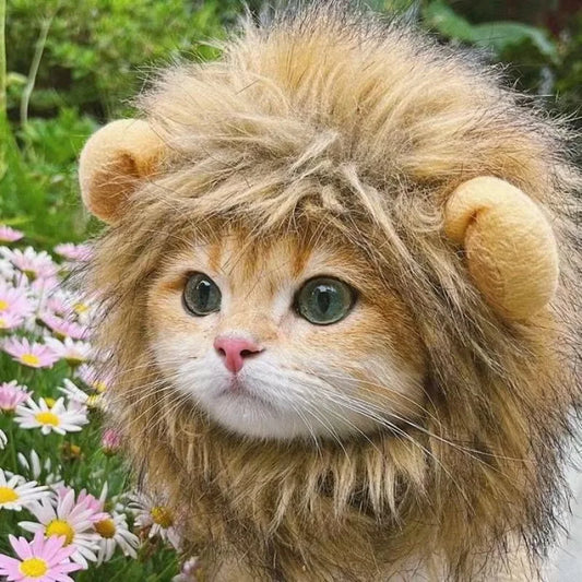 New Cute Funny Pets  Cute Wig Lion Mane Costume Cosplay Kitten Dog