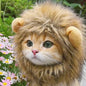 New Cute Funny Pets  Cute Wig Lion Mane Costume Cosplay Kitten Dog